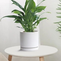 Yukfona Ceramic Plant Saucer Tray on patio