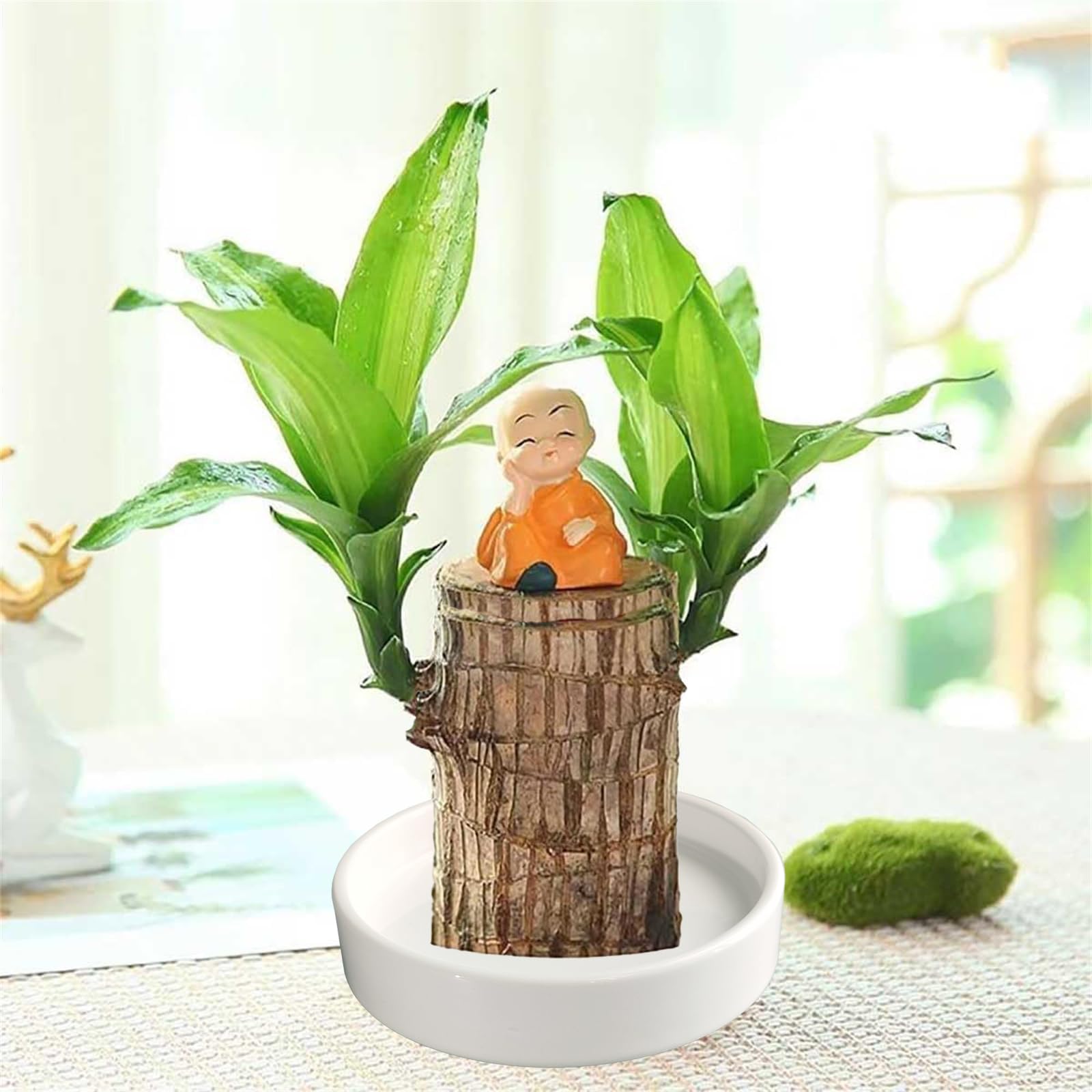 Yukfona ceramic plant saucer with water and soil trapped inside