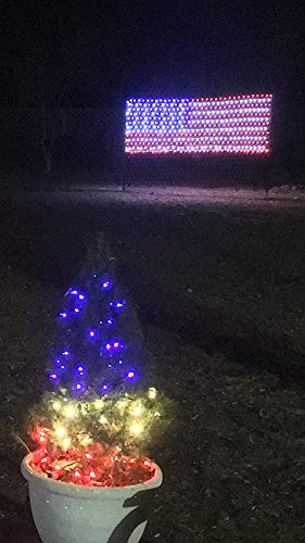 YULIANG LED American Flag Lights in packaging