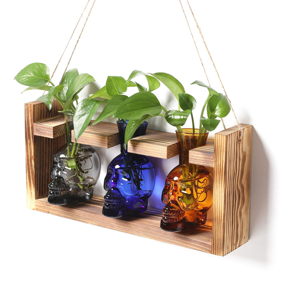 YYHglass Skull Planter Vase Set with three glass bottles