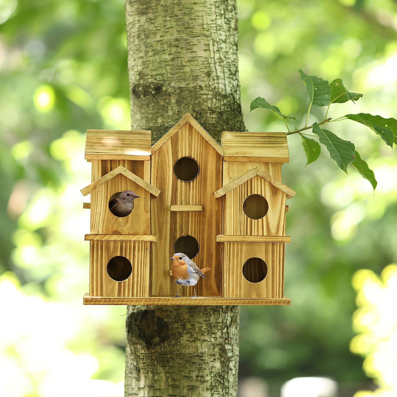 YYYUAN Cedar Bird House showing compartments for small birds