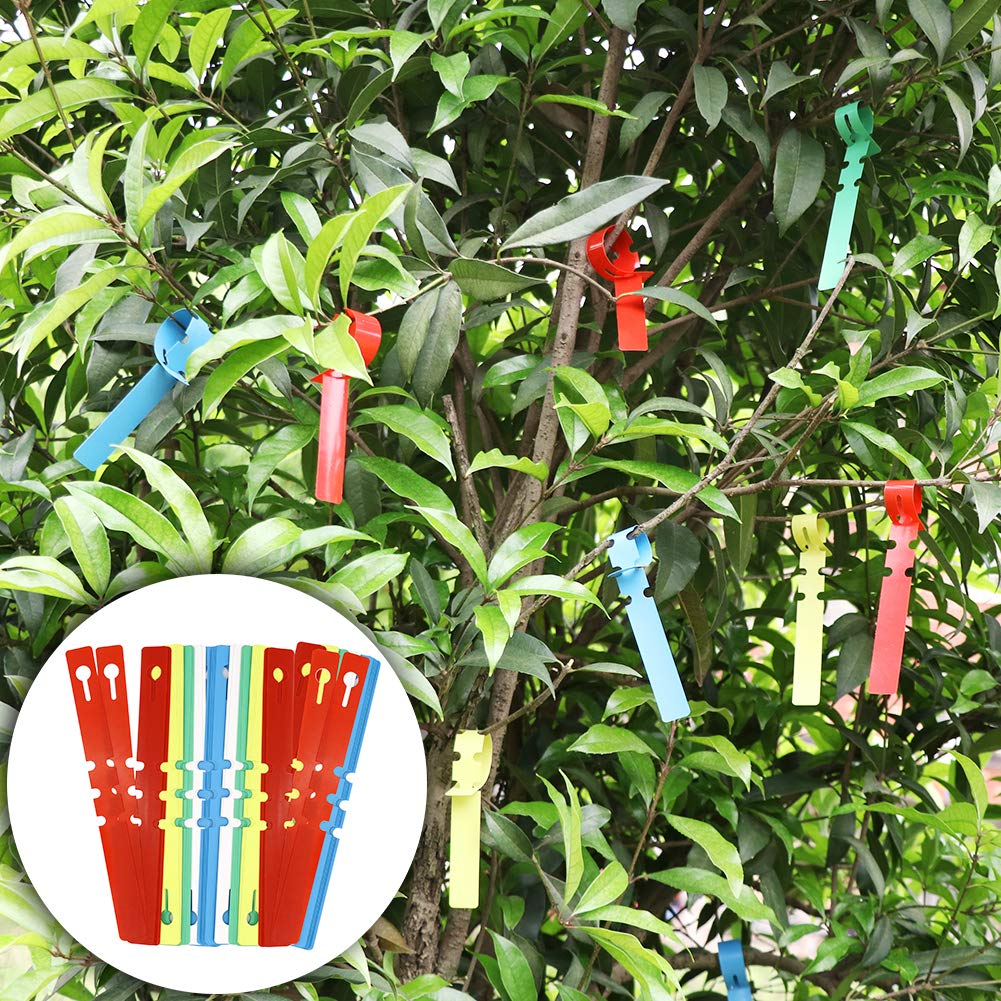 ZALALOVA tools with grafting films and rubber bands