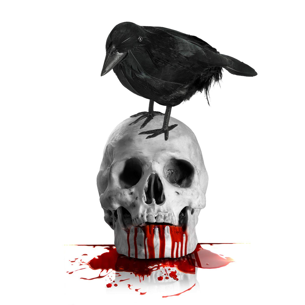 ZAUGONTW Black Crows grouped together for spooky display