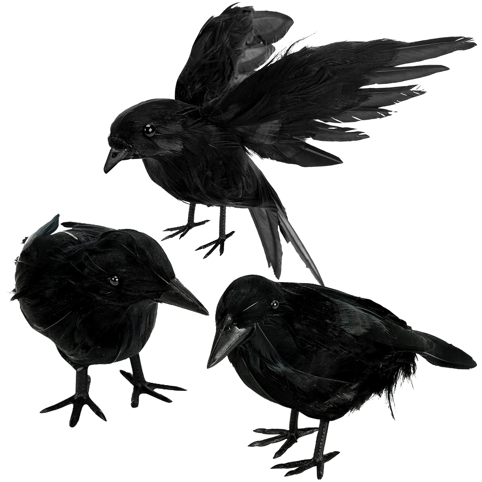 ZAUGONTW Halloween Crow – black feathered crow standing
