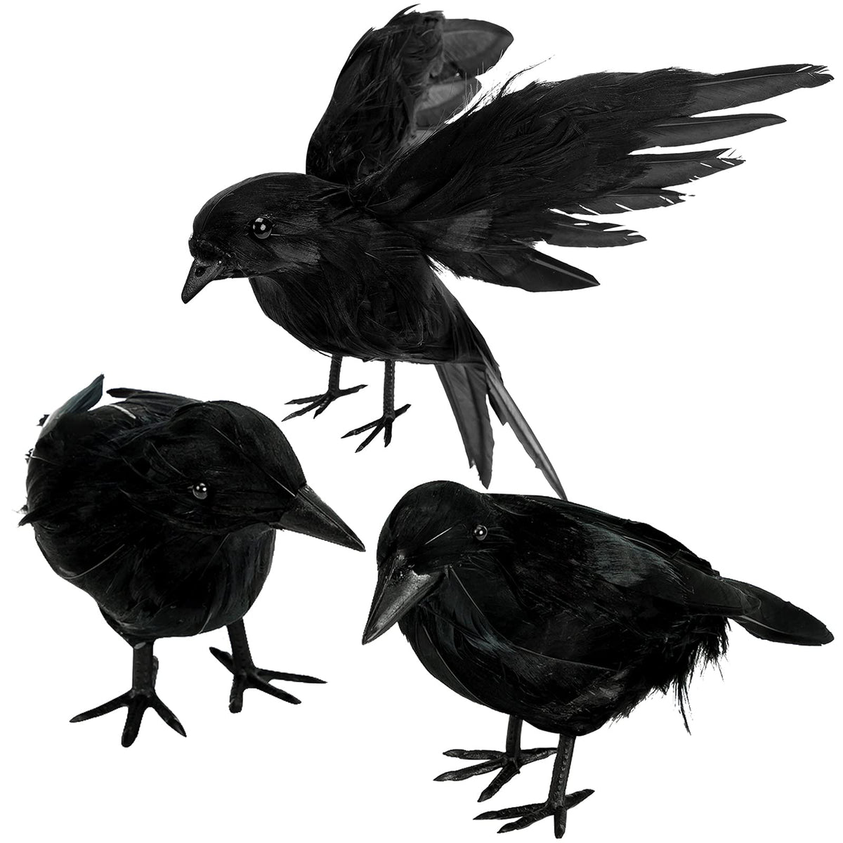 ZAUGONTW Halloween Crow – black feathered crow standing