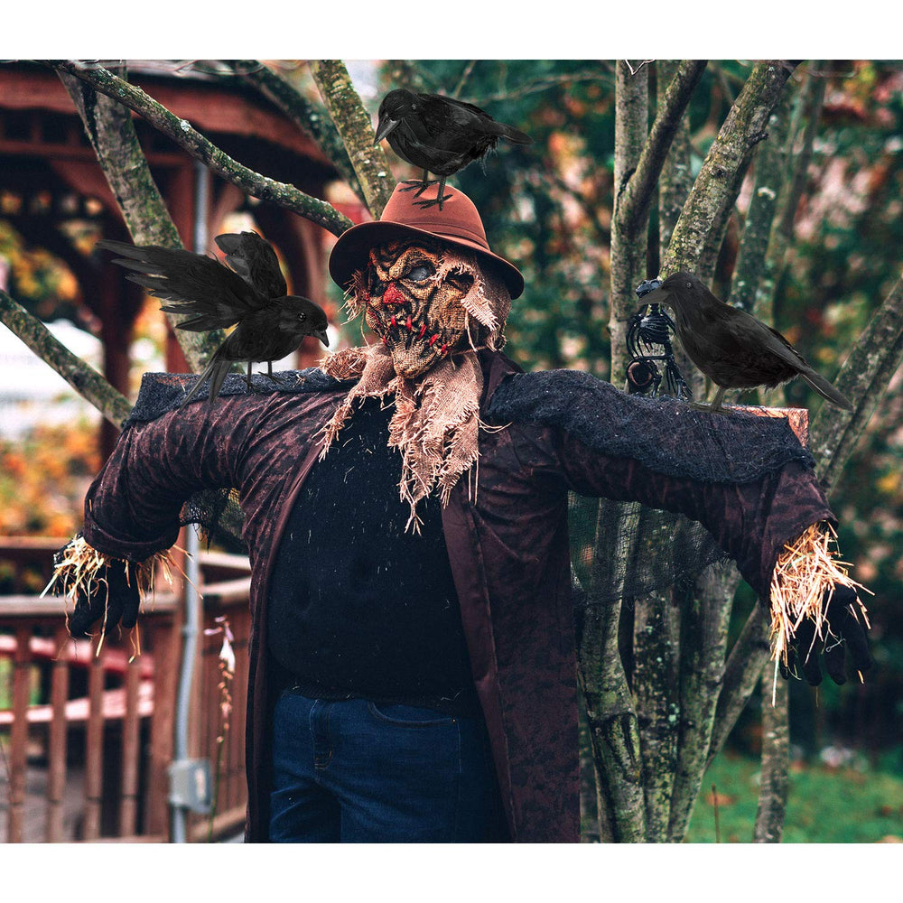 ZAUGONTW Halloween Crow – crows displayed indoors