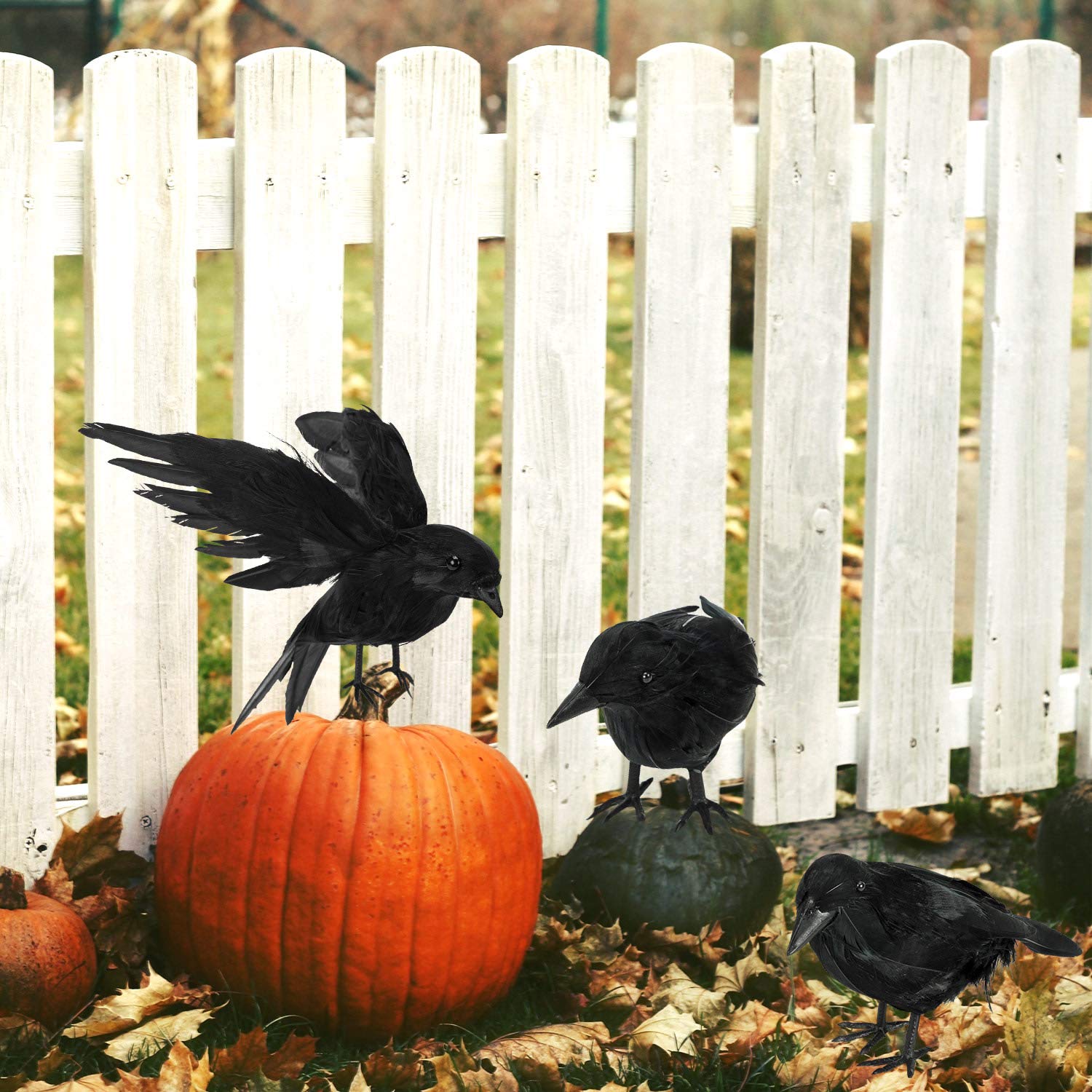 ZAUGONTW Halloween Crow – installation of crow on a fence