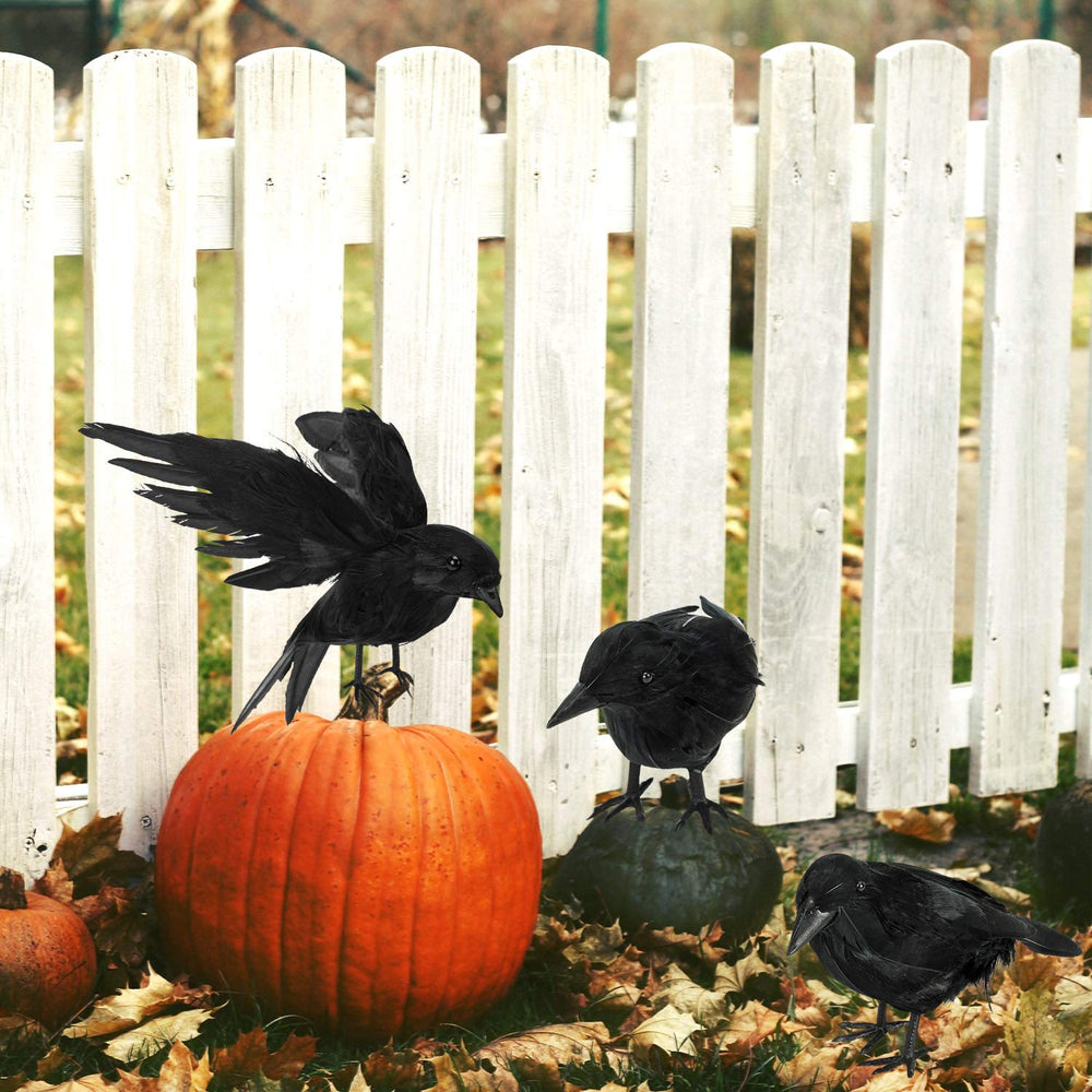 ZAUGONTW Halloween Crow – installation of crow on a fence
