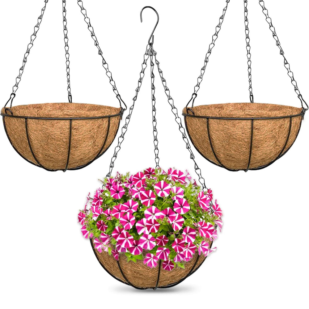 ZeeDix 10 inch metal hanging basket with coconut liner