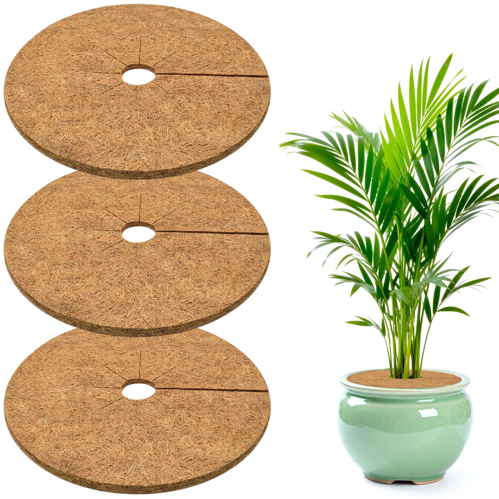 ZeeDix 11.8 Inch Coconut Fiber Mulch Mat front view