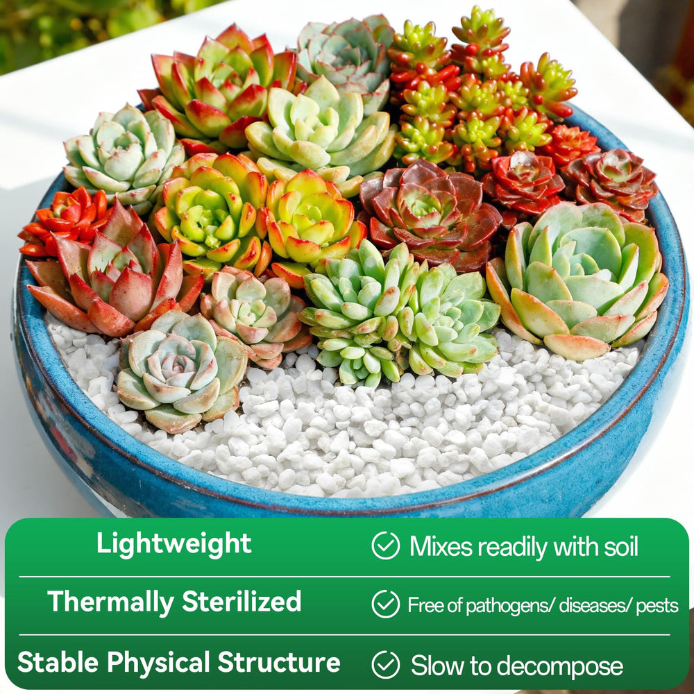 ZeeDix Coarse Perlite 3QT used with succulents
