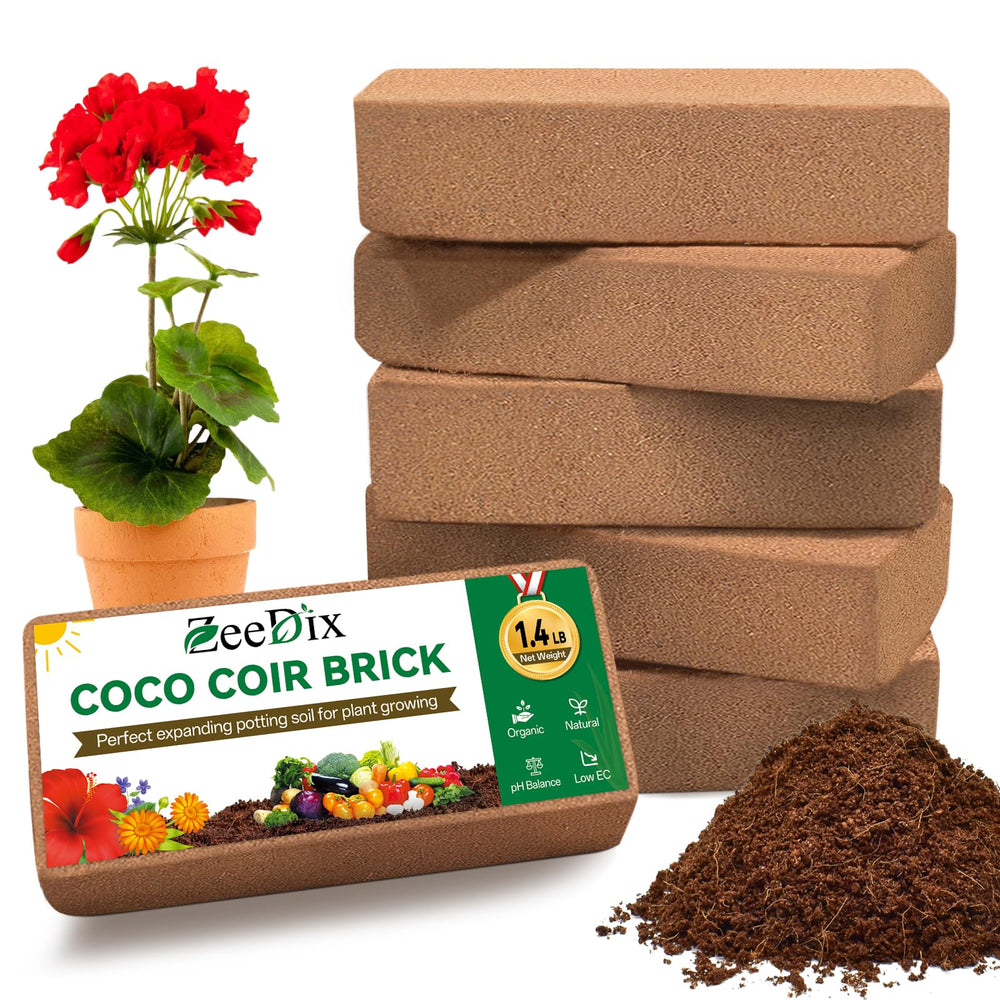 ZeeDix Coco Coir Brick front view, 6-pack with natural colour