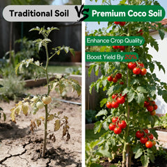 ZeeDix Coco Coir Brick in a garden setting with plants