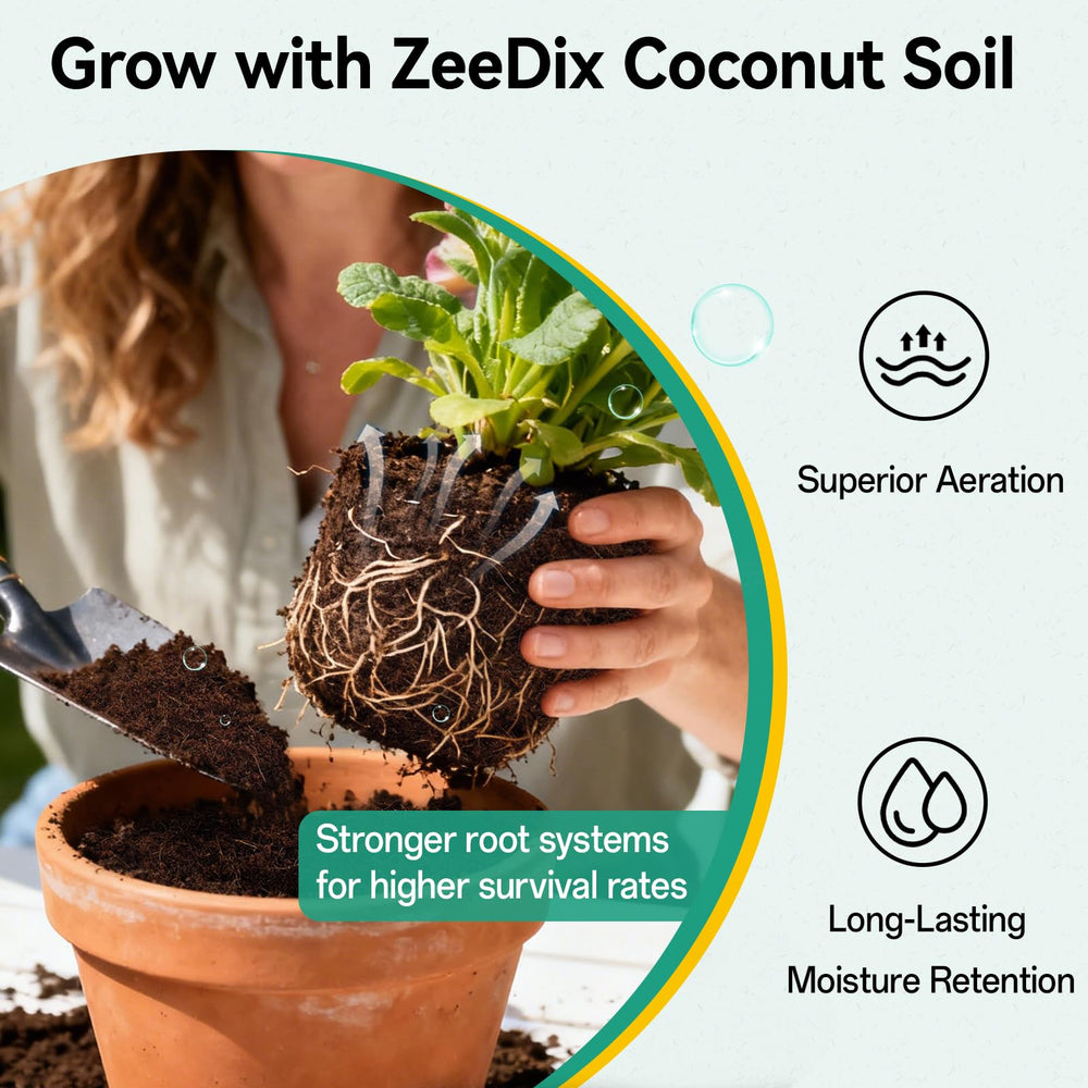 ZeeDix Coco Coir Pellets with various indoor plants