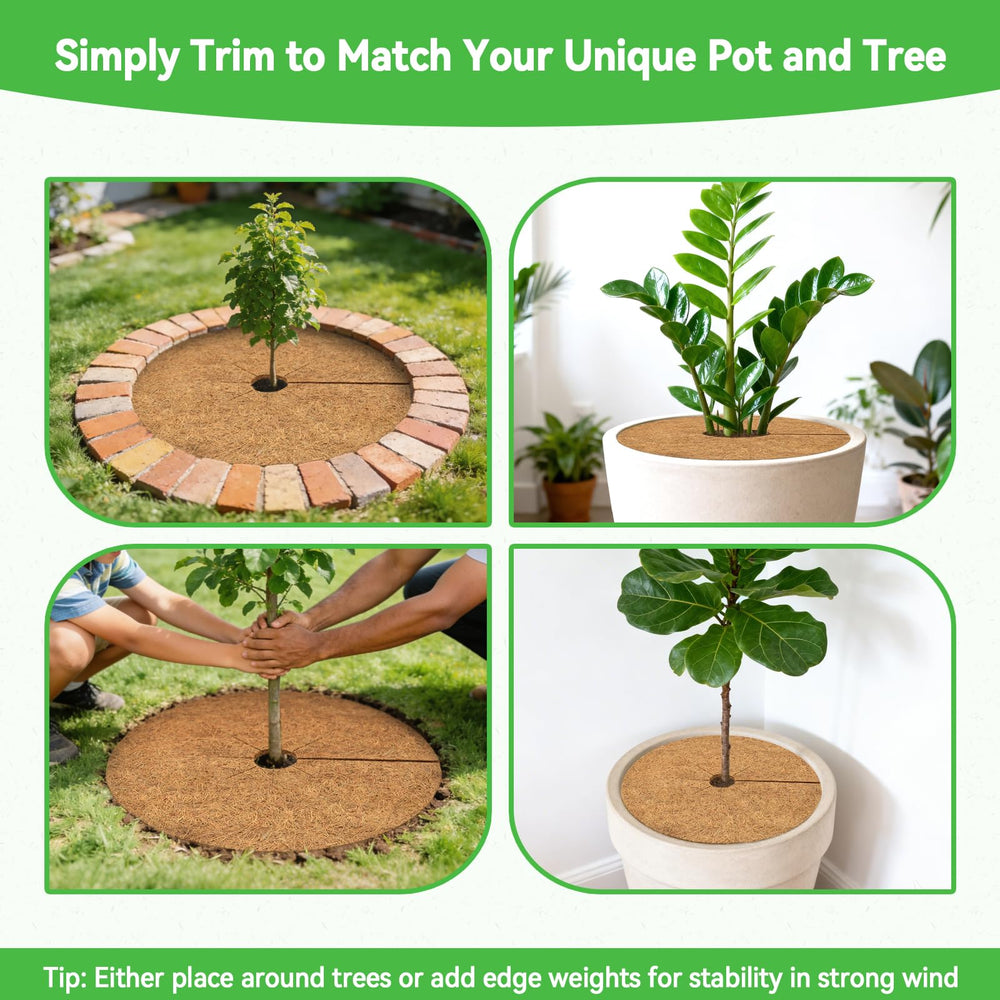 ZeeDix Coconut Fiber Mulch Mat applied around potted plant