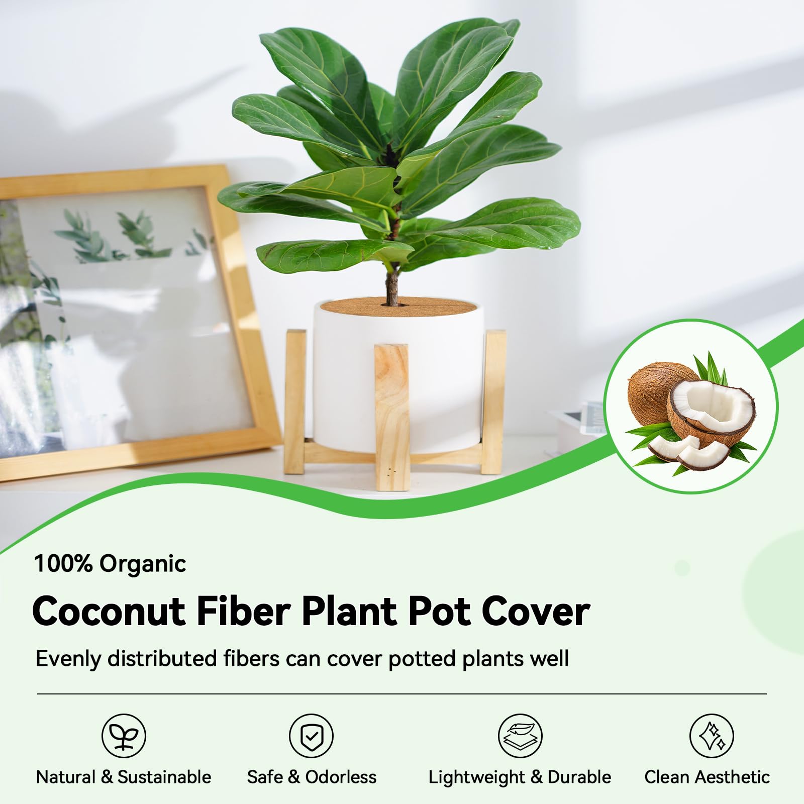 ZeeDix Coconut Fiber Mulch Mat in garden setting
