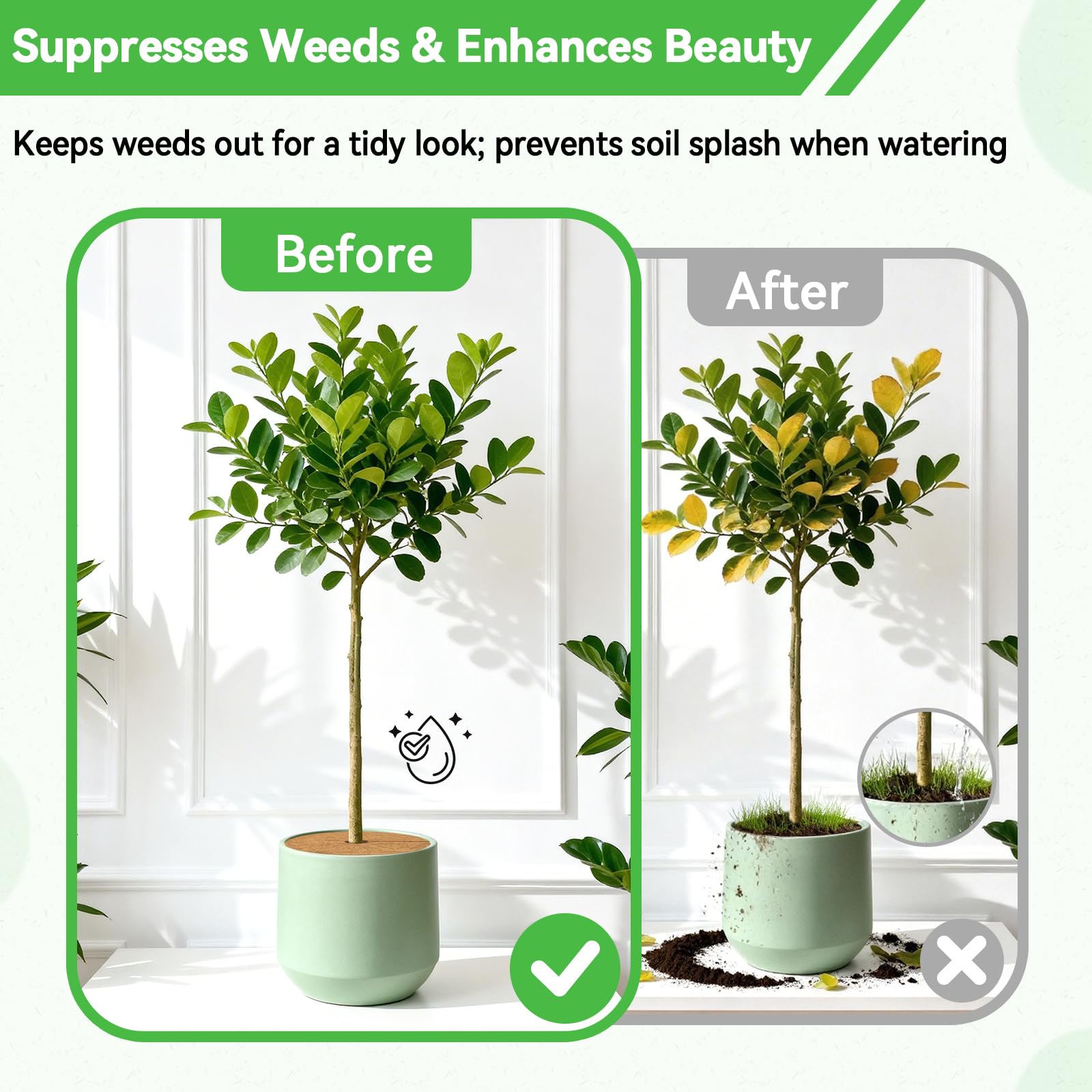 ZeeDix Coconut Fiber Mulch Mat on balcony plant