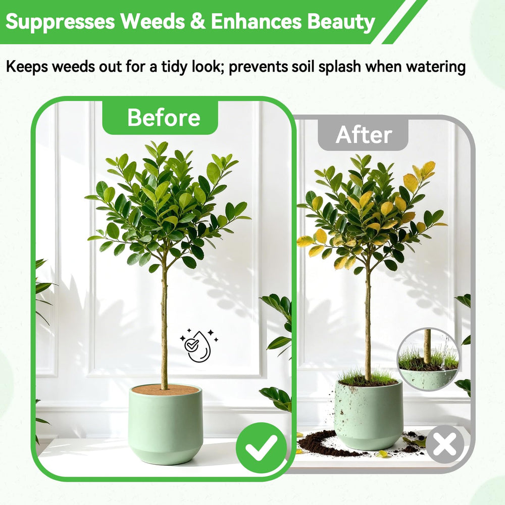 ZeeDix Coconut Fiber Mulch Mat on balcony plant