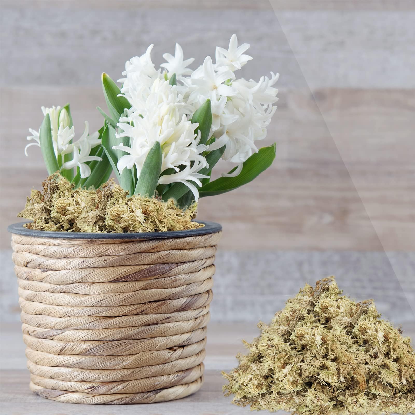ZeeDix sphagnum moss used in landscaping