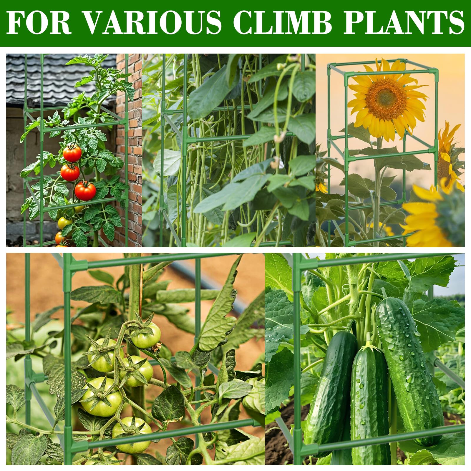 ZeeDix tomato cage with non-slip feet in garden