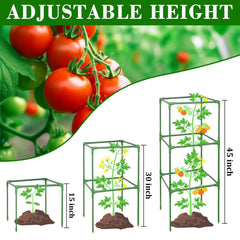 ZeeDix tomato cage with sturdy triangular base and non-slip feet