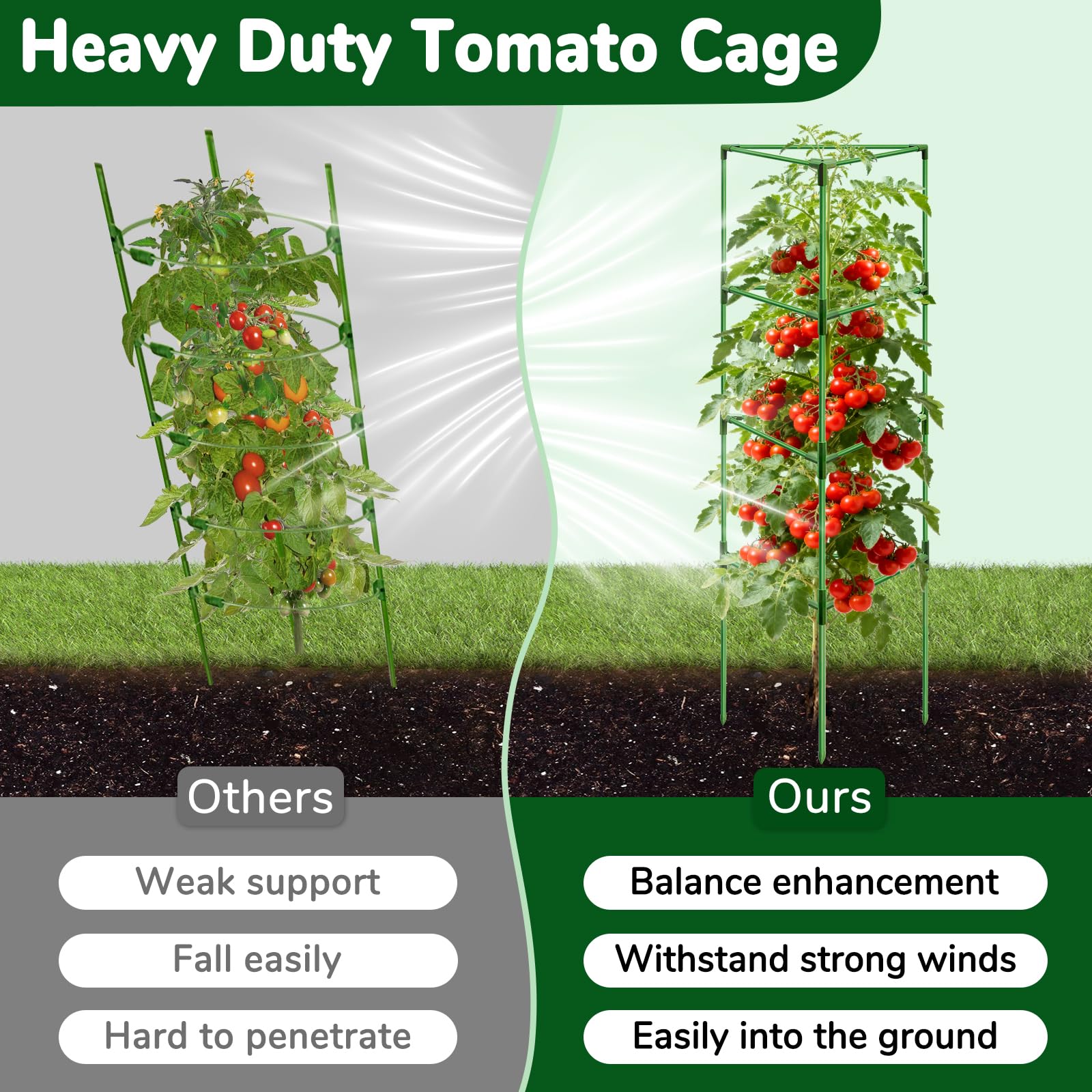 ZeeDix Tomato Cages set up in a garden with climbing plants