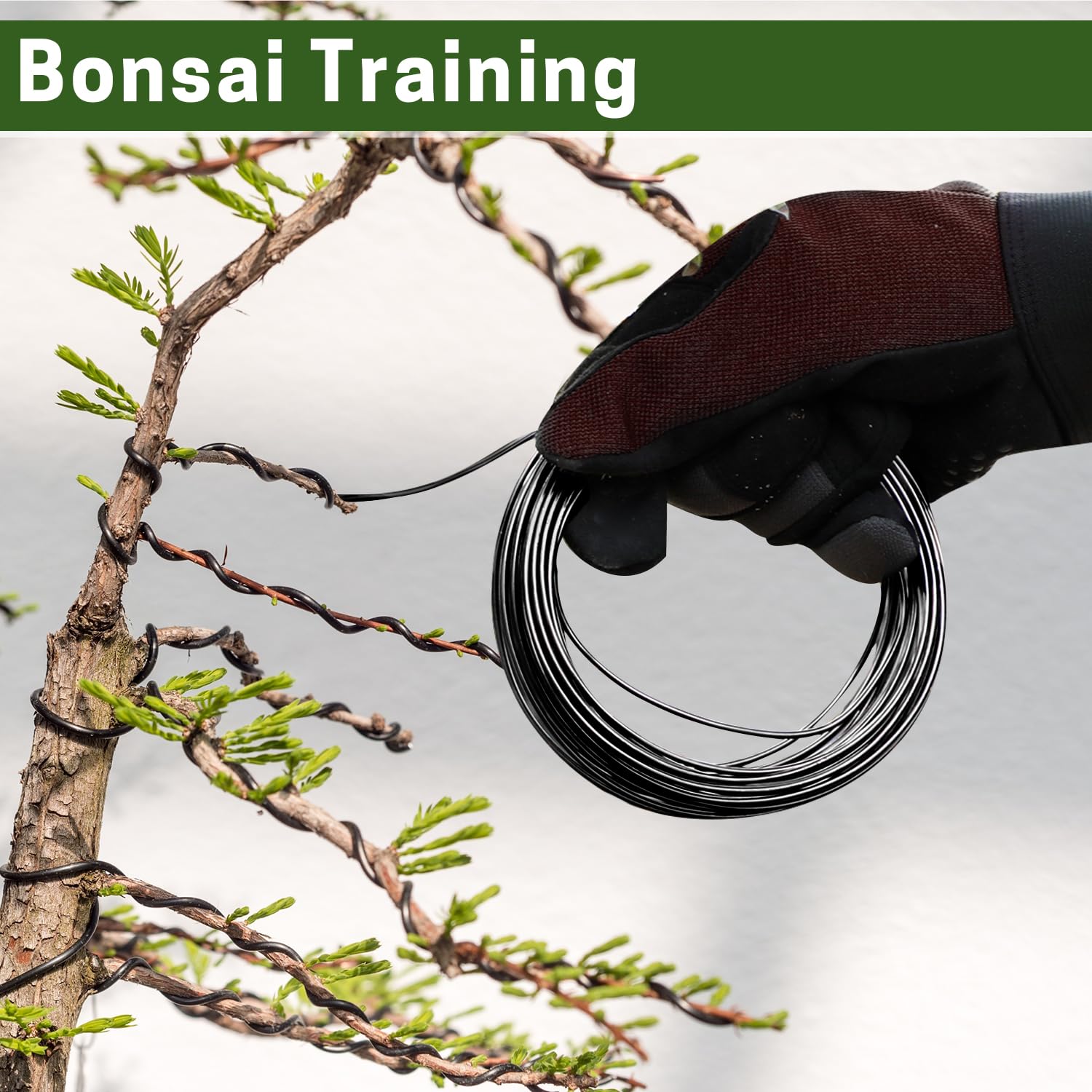 ZELARMAN Bonsai Training Wire Set packaging details