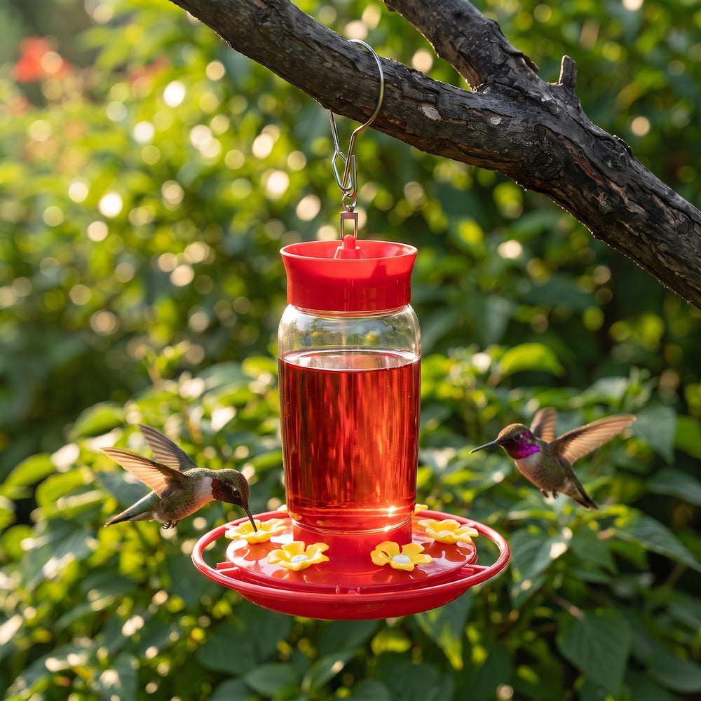 Zelpont Hummingbird Feeder dimensions 18.5 x 18 x 17.1 cm