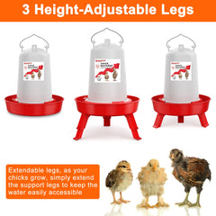 ZenxyHoC 0.3-gallon chick feeder with low-profile design