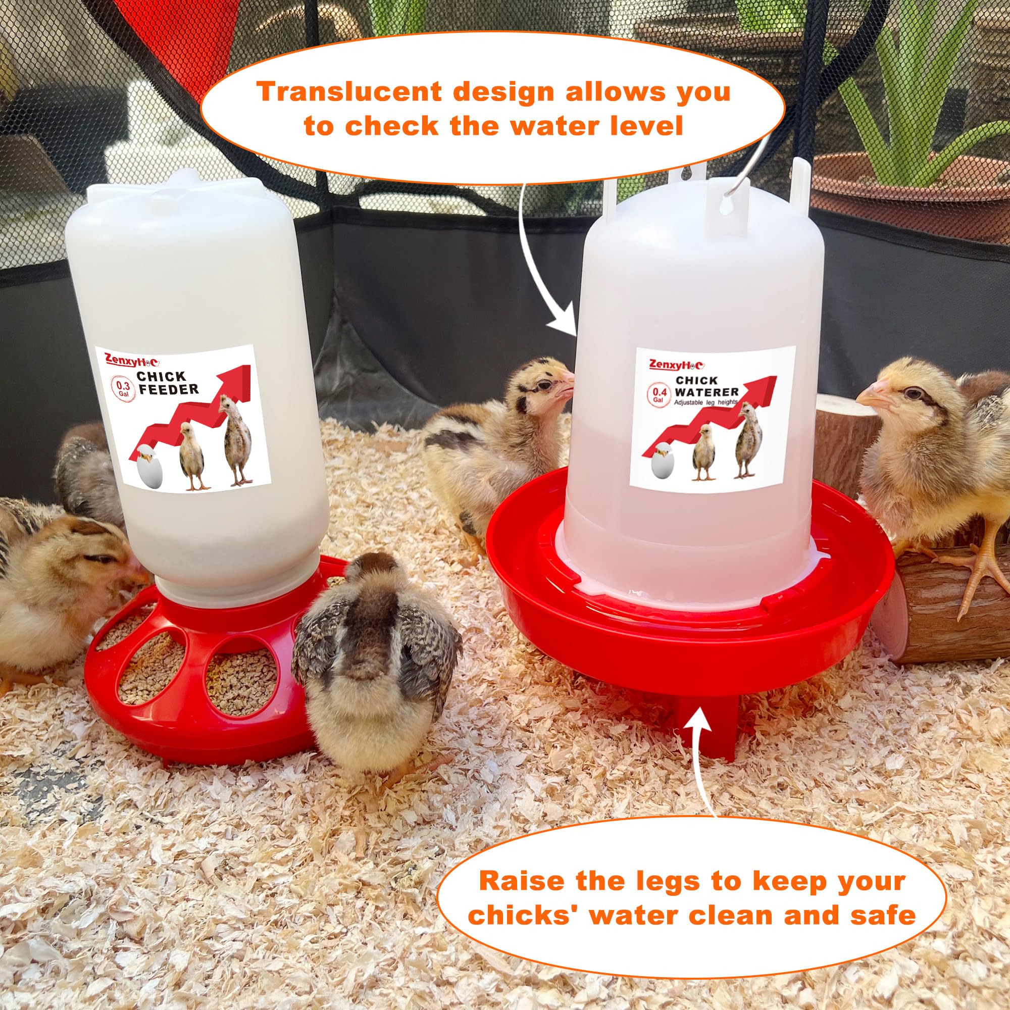 ZenxyHoC 0.4-gallon chick waterer with adjustable height settings