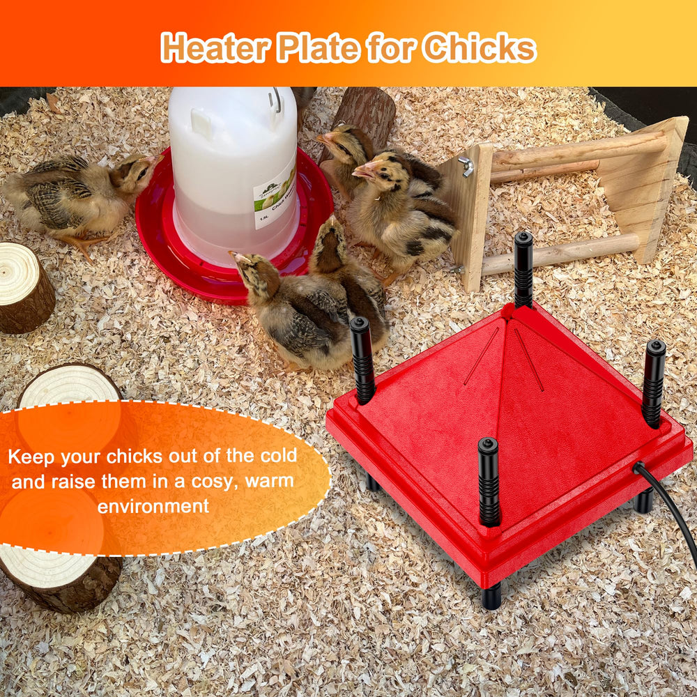 ZenxyHoC Chick Brooder Heater with Anti-Roost Cone attached