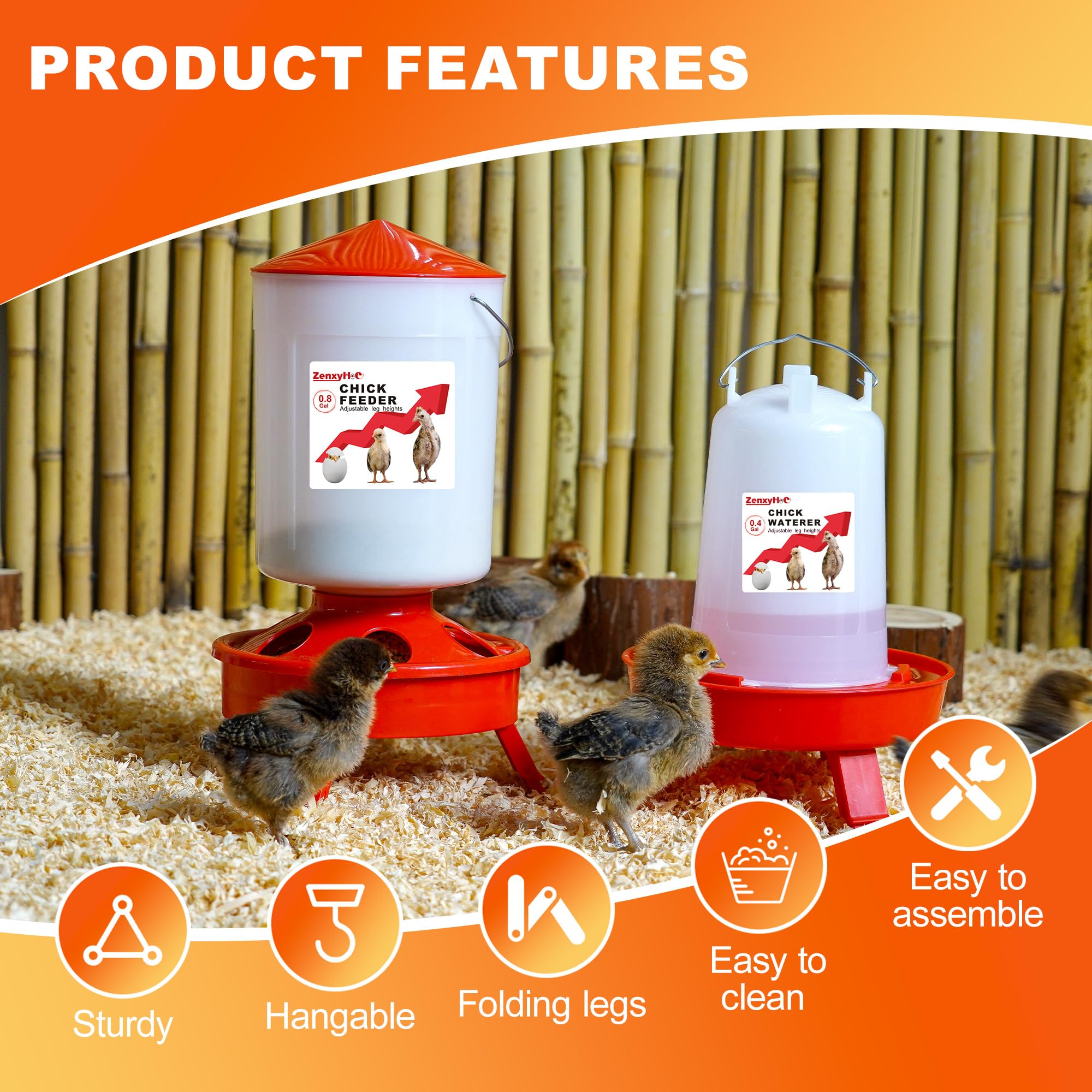 ZenxyHoC chick feeder and waterer setup in brooder