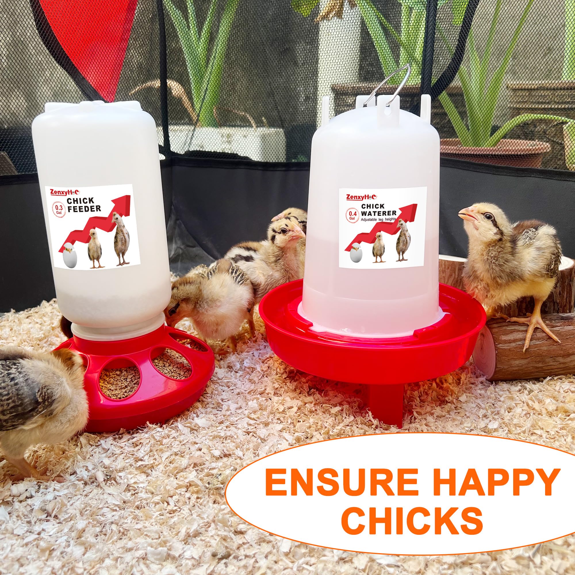 ZenxyHoC chick starter set in use in a brooder environment