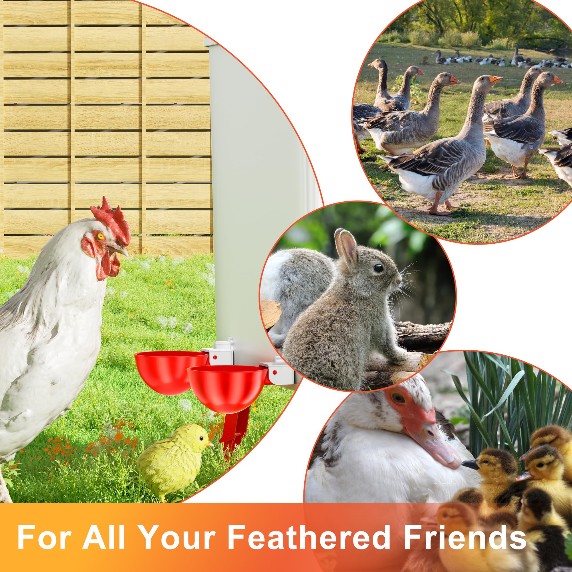 ZenxyHoC Chicken Waterer Cups deep-cup design for poultry