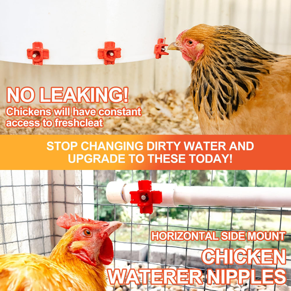 ZenxyHoC chicken waterer nipple side view showing installation