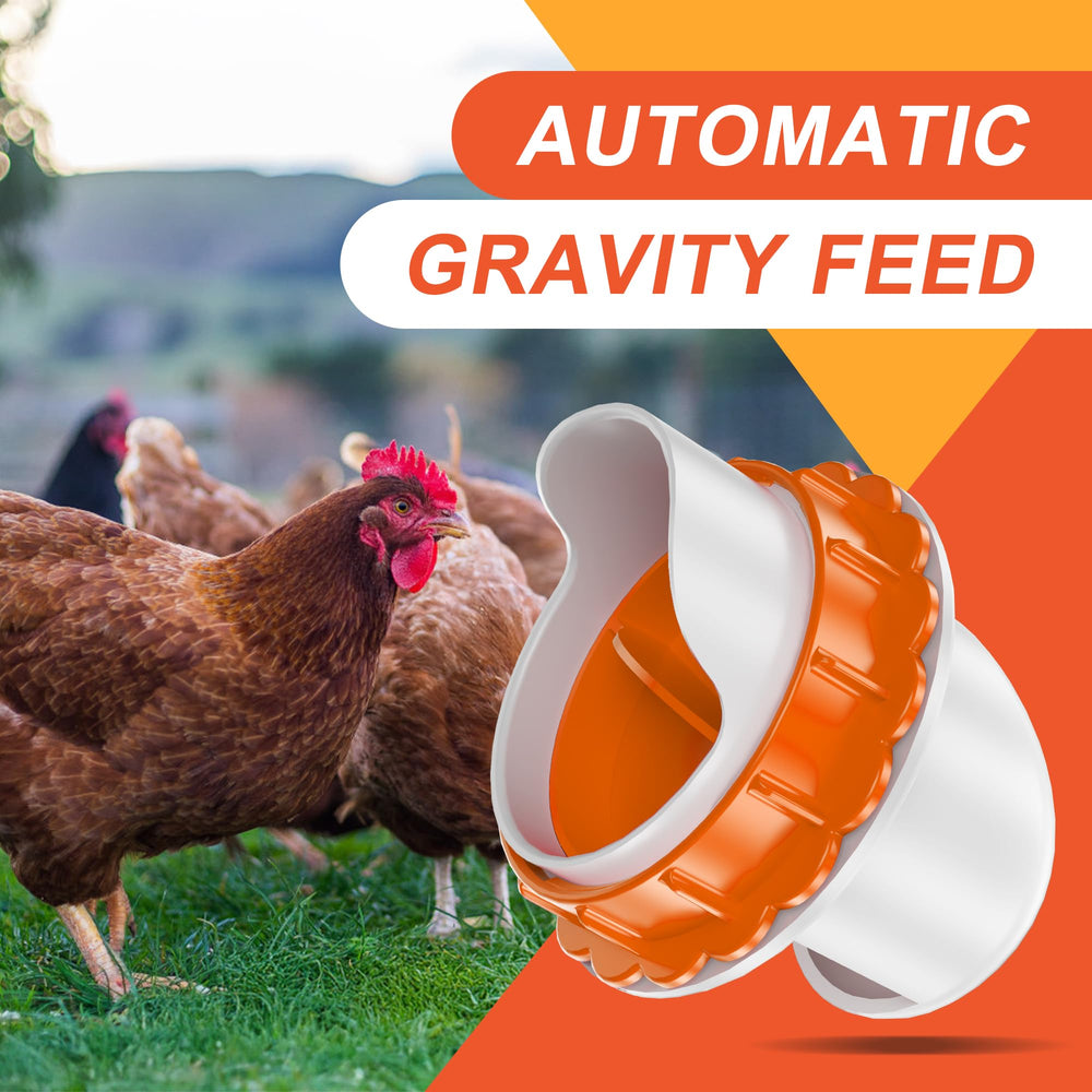 ZenxyHoC poultry feeder in a chicken coop setting
