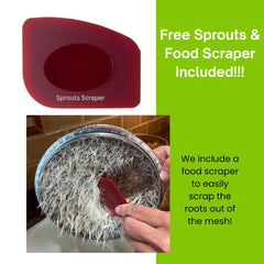 ZESTIGREENS sprouting trays in use with seeds soaking