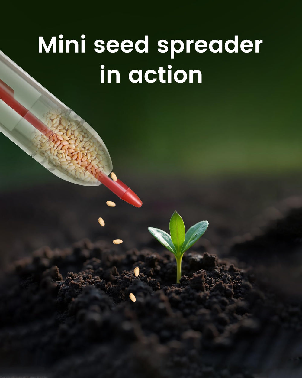 ZhenD Mini Dibber tool included in the Mini Seed Spreader Set