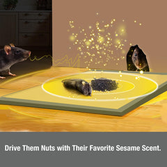 ZingZap mouse trap glue board showing strong adhesive