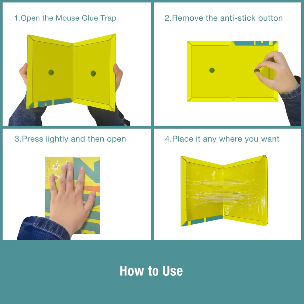 ZingZap Sticky Mouse Trap showing yellow cardboard