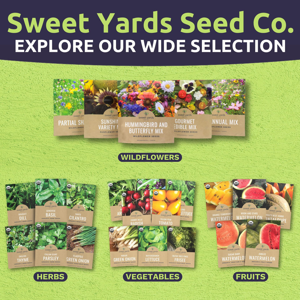 Zinnia Crazy Blend seeds in natural setting