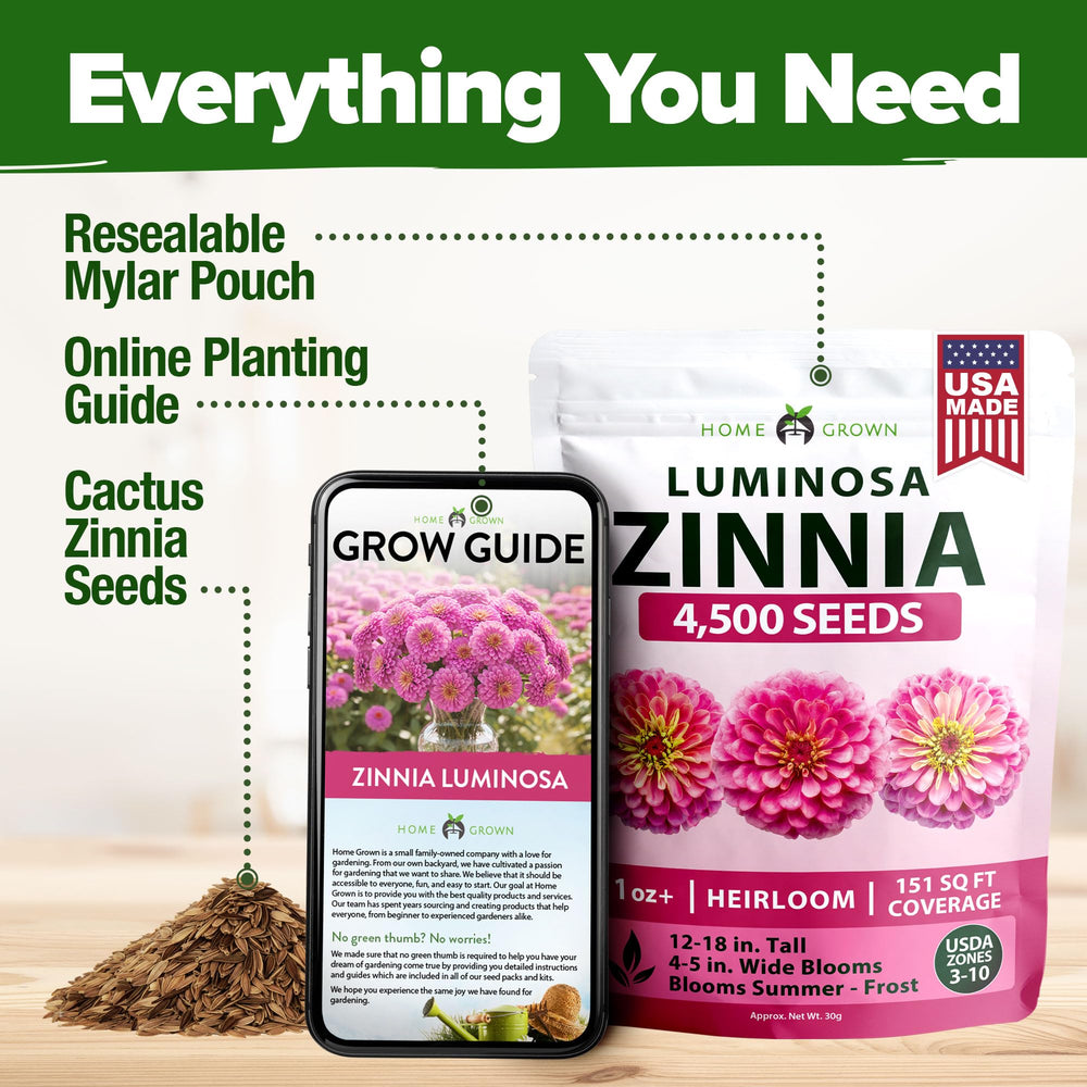 Zinnia flowers in a vase for home décor
