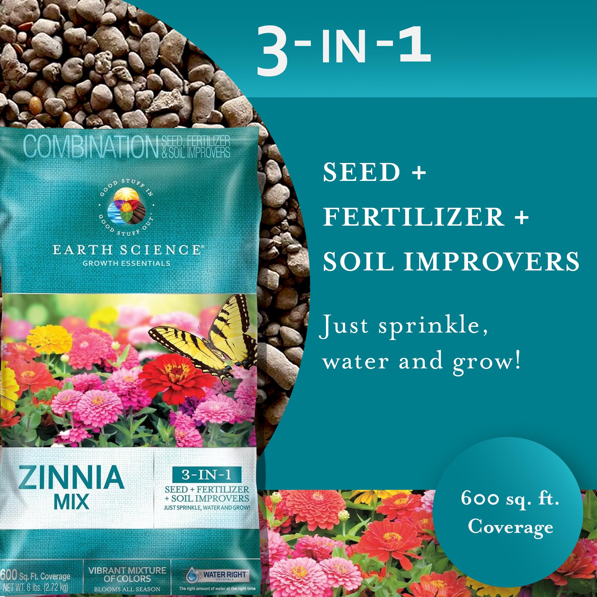 Zinnia seeds from Earth Science with a ruler for size reference