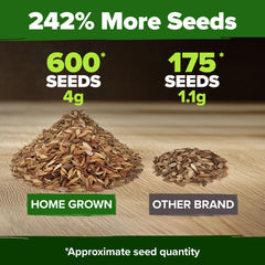 Zinnia seeds in packaging with vibrant flowers
