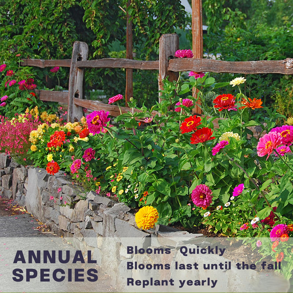 Zinnia seeds packaging with eco-friendly materials