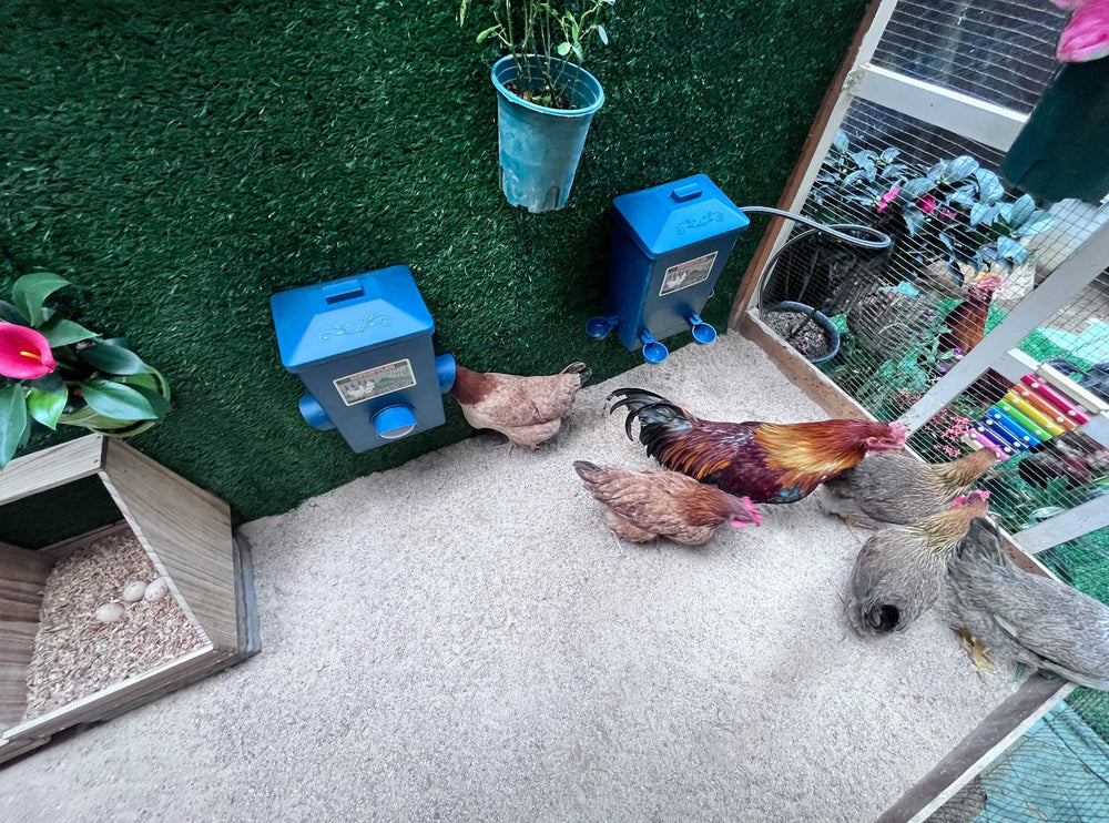 ZINZINULER Chicken Feeder and Waterer set on grass