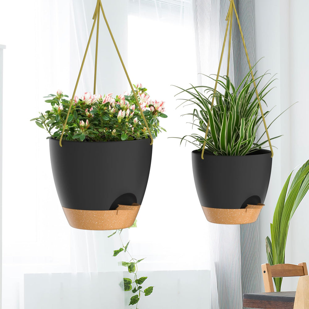 ZMTECH 8 Inch Hanging Planter filled with succulents