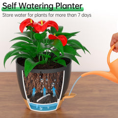 ZMTECH 8 Inch Hanging Planter side view with thickened walls