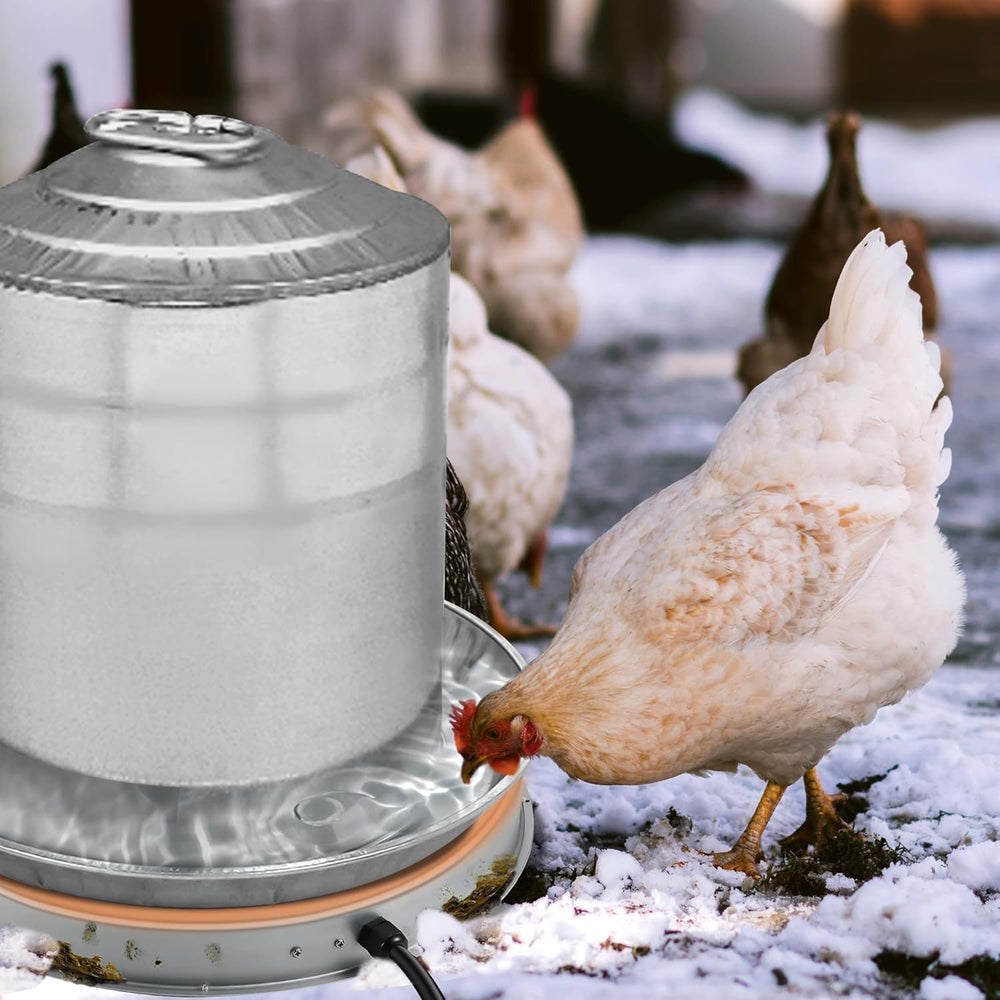 Zoblise Chicken Water Heater Base in outdoor setting