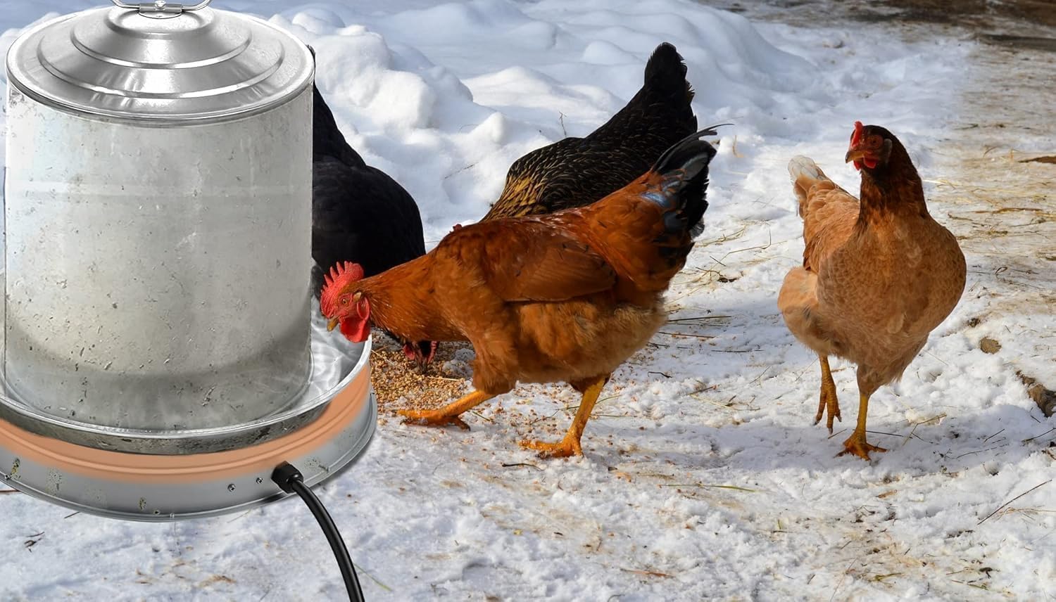 Zoblise Chicken Water Heater Base with different livestock